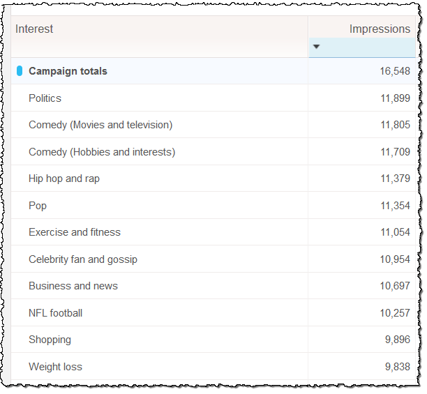 twitter demographics